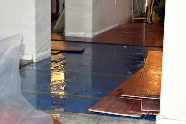 Professional Sewage Cleanup technician working in Marty, SD